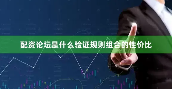 配资论坛是什么验证规则组合的性价比